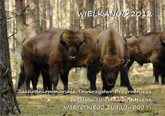 2012_WIELKANOC
