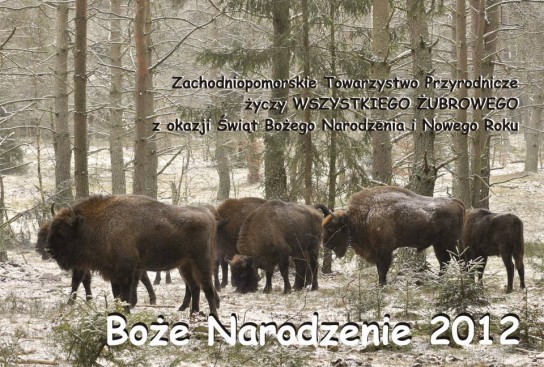 BN_2012